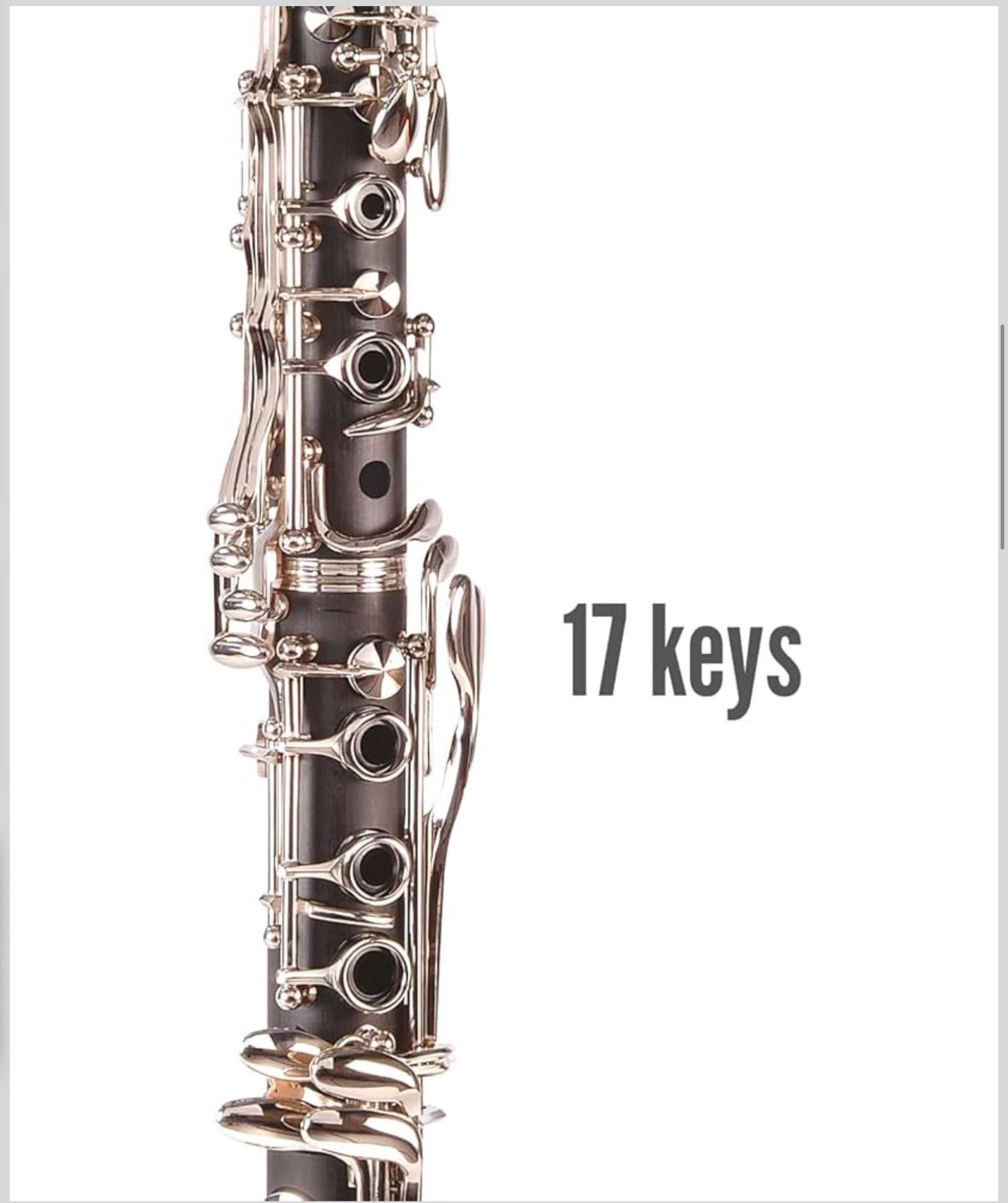Odyssey Debut 'Bb' Clarinet 17 Keys